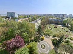 836061 - zdjęcie nr 3