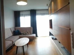 7239 - zdjęcie nr 4