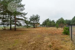 BLN976721 - zdjęcie nr 0