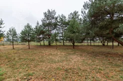 BLN976721 - zdjęcie nr 3