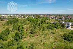 BLN428922 - zdjęcie nr 2