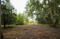 BLN280560 - zdjęcie nr 4