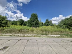 BLN239881 - zdjęcie nr 0