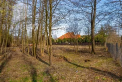 BLN728910 - zdjęcie nr 1