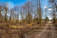 BLN728910 - zdjęcie nr 4