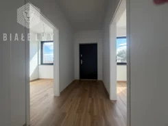 BLN850097 - zdjęcie nr 2