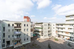 BLN703332 - zdjęcie nr 0