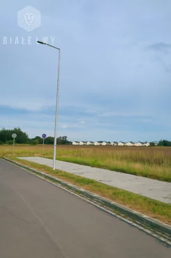BLN514337 - zdjęcie nr 2
