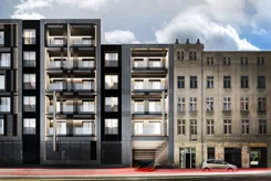 New Iron - zdjęcie nr 3