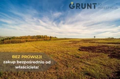9450200 - zdjęcie nr 4