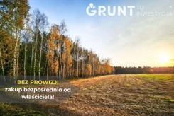 8510200 - zdjęcie nr 4