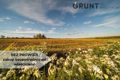 9430200 - zdjęcie nr 4