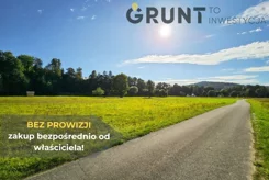 9030200 - zdjęcie nr 4