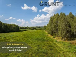 8970200 - zdjęcie nr 4