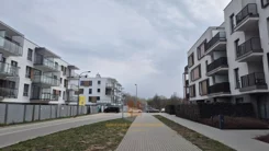 289 - zdjęcie nr 1