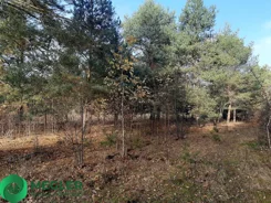 263/9507/OGS - zdjęcie nr 3
