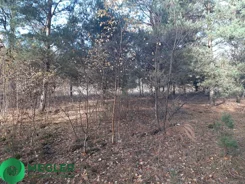 263/9507/OGS - zdjęcie nr 4