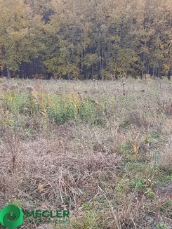 282/9507/OGS - zdjęcie nr 4