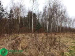 169/9507/OGS - zdjęcie nr 3
