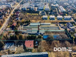 588365 - zdjęcie nr 2
