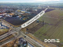 433652 - zdjęcie nr 4