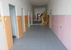 TB#385803866 - zdjęcie nr 3