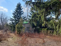 TB#269986 - zdjęcie nr 1