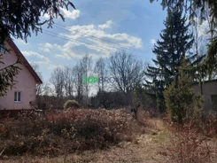 TB#269986 - zdjęcie nr 2