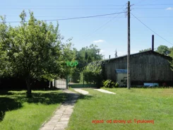 TB#648912211 - zdjęcie nr 1