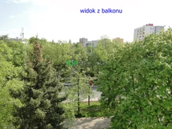 TB#323791764 - zdjęcie nr 3