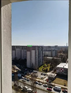 TB#224286999 - zdjęcie nr 1