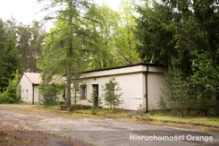 T10566 - zdjęcie nr 3