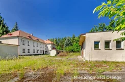 T03676 - zdjęcie nr 3