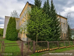 T09866 - zdjęcie nr 4