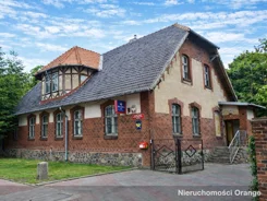T03388 - zdjęcie nr 3