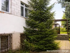 T05565 - zdjęcie nr 3