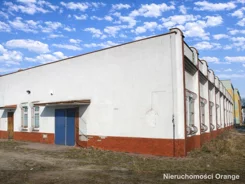 T03329 - zdjęcie nr 3