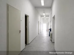 T03329 - zdjęcie nr 4