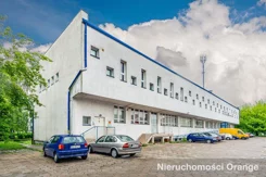T06665 - zdjęcie nr 3