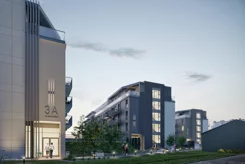 Zielona Przystań - zdjęcie nr 5