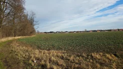 51/7250/OGS - zdjęcie nr 0