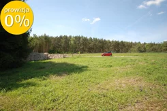 181/7250/OGS - zdjęcie nr 2