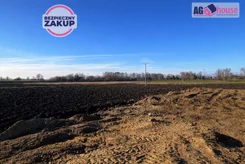 AG871326 - zdjęcie nr 2