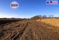 AG871326 - zdjęcie nr 4