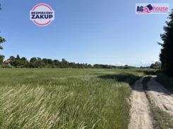AG997089 - zdjęcie nr 2
