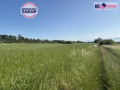 AG997089 - zdjęcie nr 4