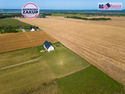 AG974963 - zdjęcie nr 4
