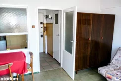 11903 - zdjęcie nr 3