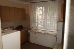 11710 - zdjęcie nr 3
