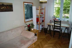 11919 - zdjęcie nr 2